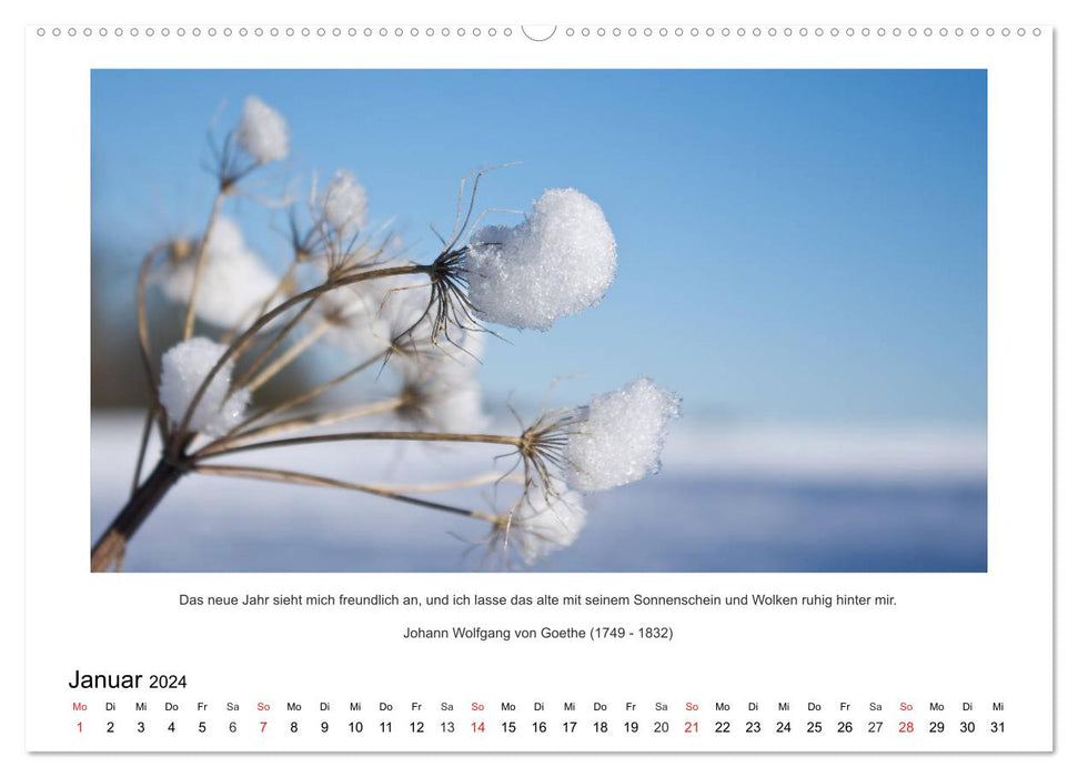 The nature calendar with quotes and sayings (CALVENDO wall calendar 2024) 