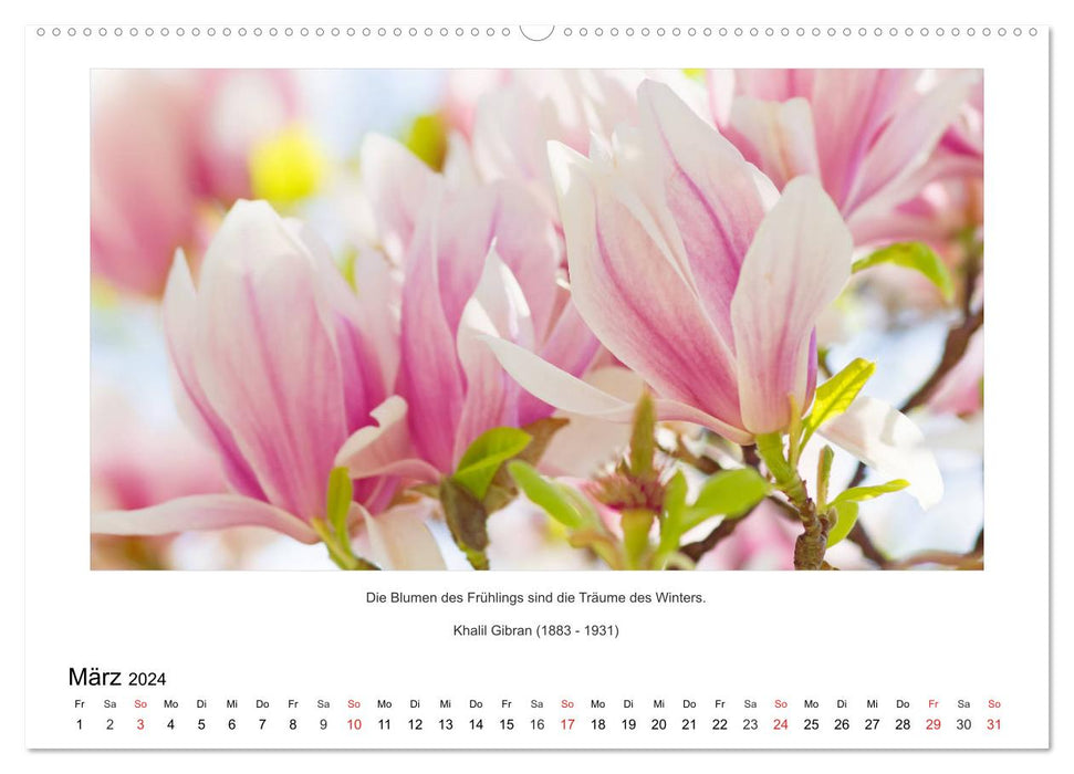 Der Naturkalender mit Zitaten und Sprüchen (CALVENDO Wandkalender 2024)