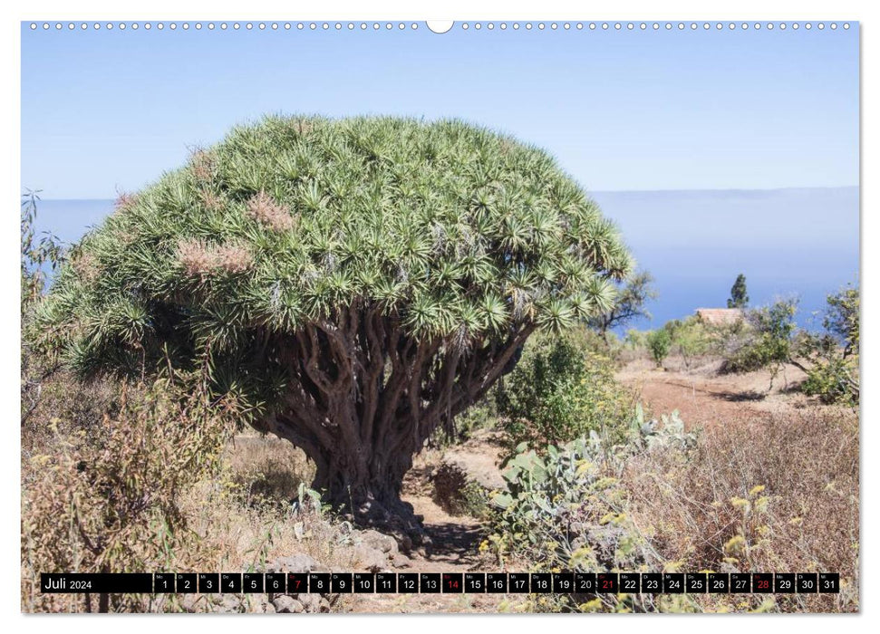 Faszinierendes La Palma (CALVENDO Premium Wandkalender 2024)