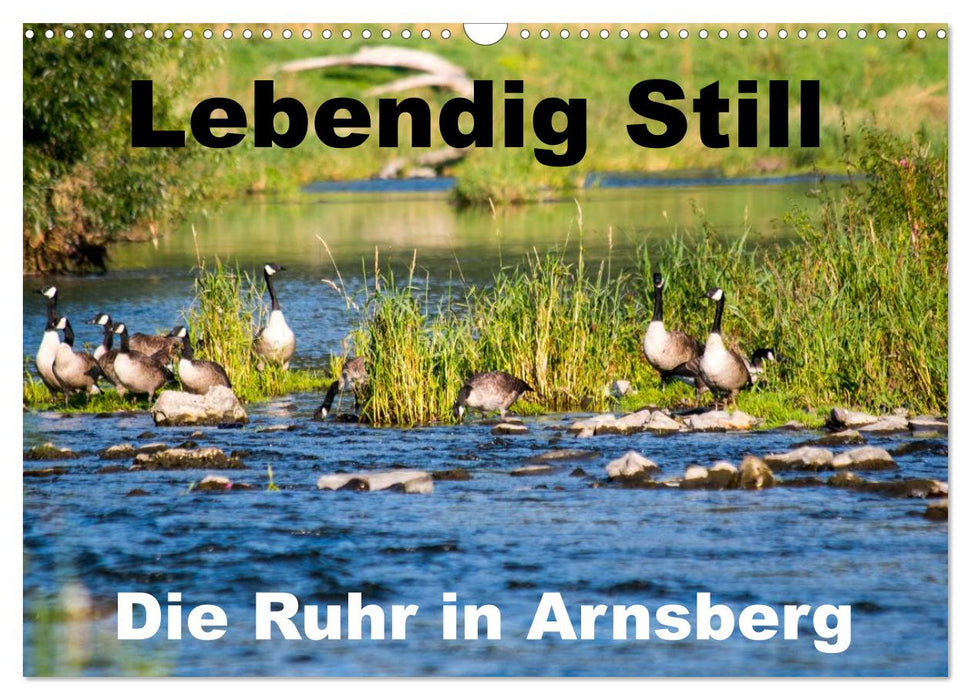 Lebendig Still - Die Ruhr in Arnsberg (CALVENDO Wandkalender 2024)