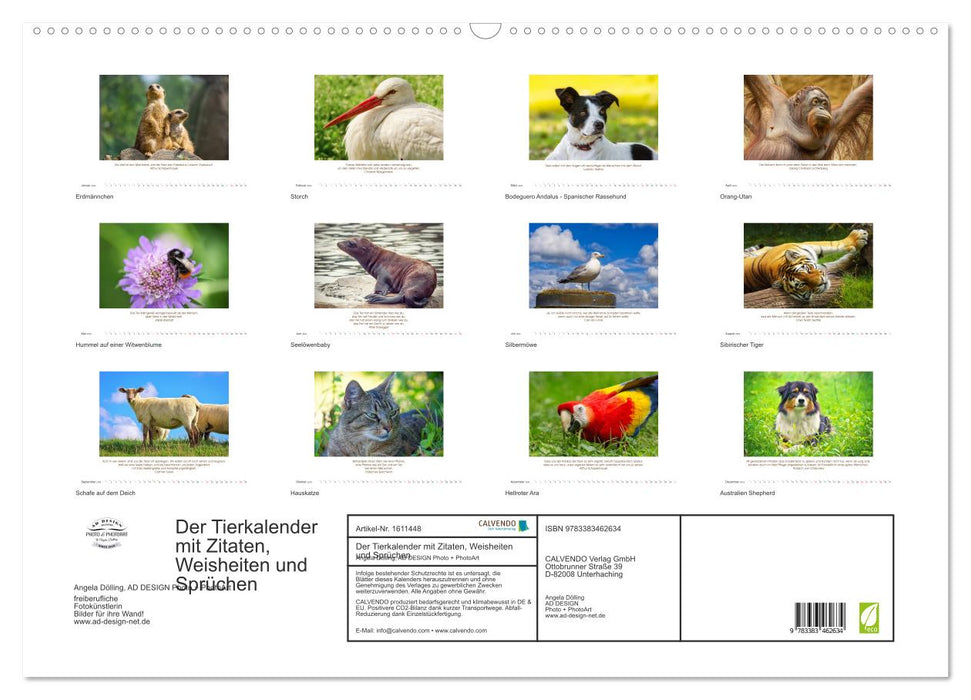 The animal calendar with quotes, wisdom and sayings (CALVENDO wall calendar 2024) 