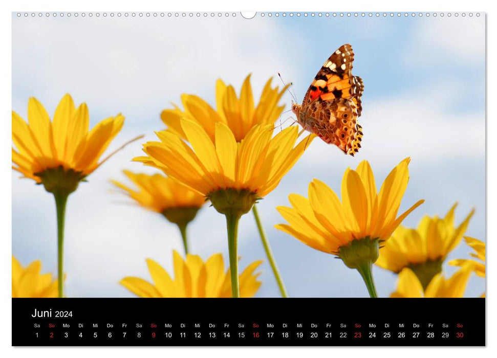 Die vier Jahreszeiten (CALVENDO Wandkalender 2024)