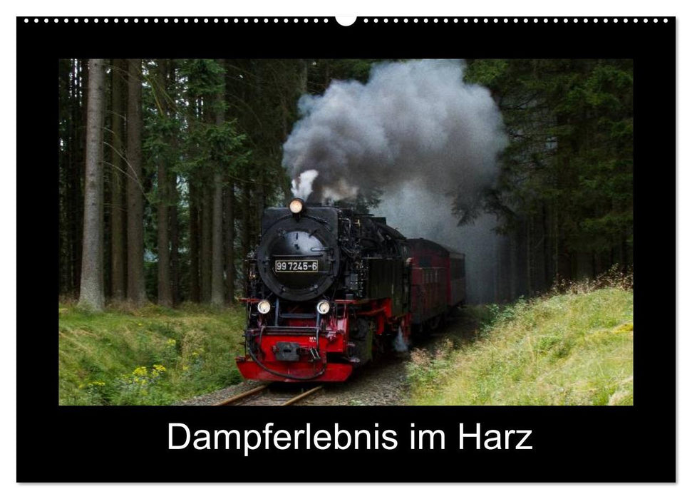 Dampferlebnis im Harz (CALVENDO Wandkalender 2024)