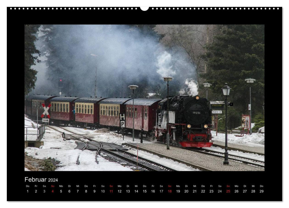 Steam experience in the Harz (CALVENDO wall calendar 2024) 