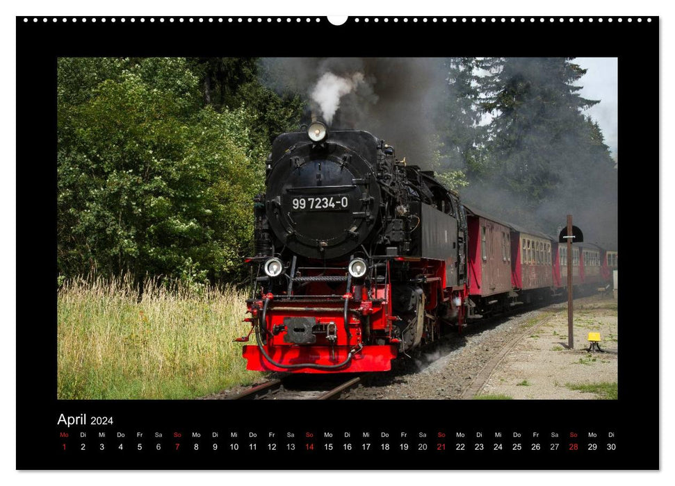 Steam experience in the Harz (CALVENDO wall calendar 2024) 