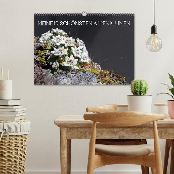Mes 12 plus belles fleurs alpines (Calendrier mural CALVENDO 2024) 