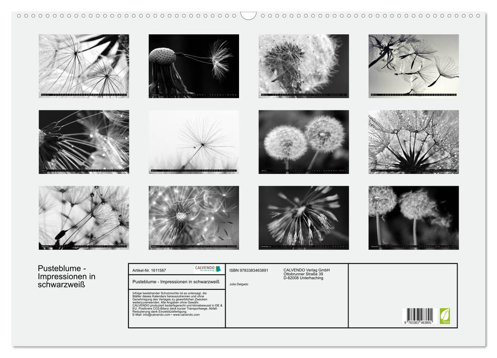 Pusteblume - Impressionen in schwarzweiß (CALVENDO Wandkalender 2024)