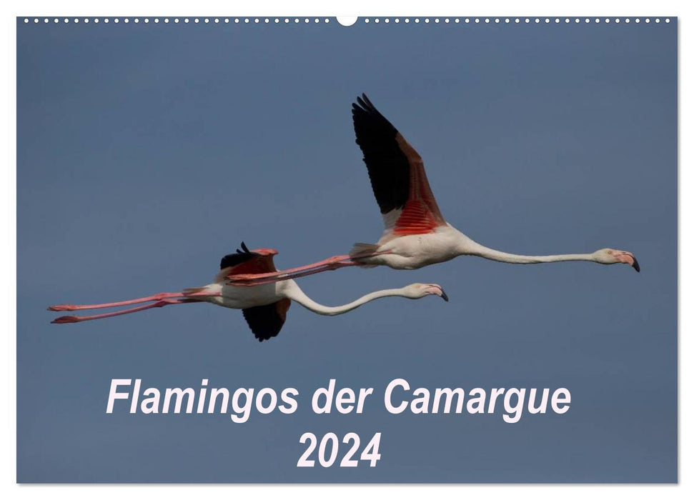 Flamingos der Camargue 2024 (CALVENDO Wandkalender 2024)