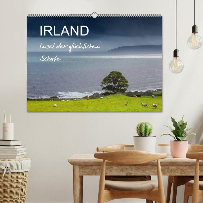 IRLAND - Insel der glücklichen Schafe (CALVENDO Wandkalender 2024)