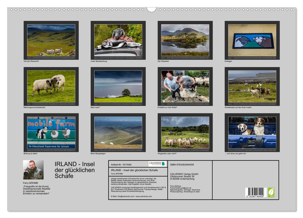 IRELAND - Island of the Happy Sheep (CALVENDO Wall Calendar 2024) 