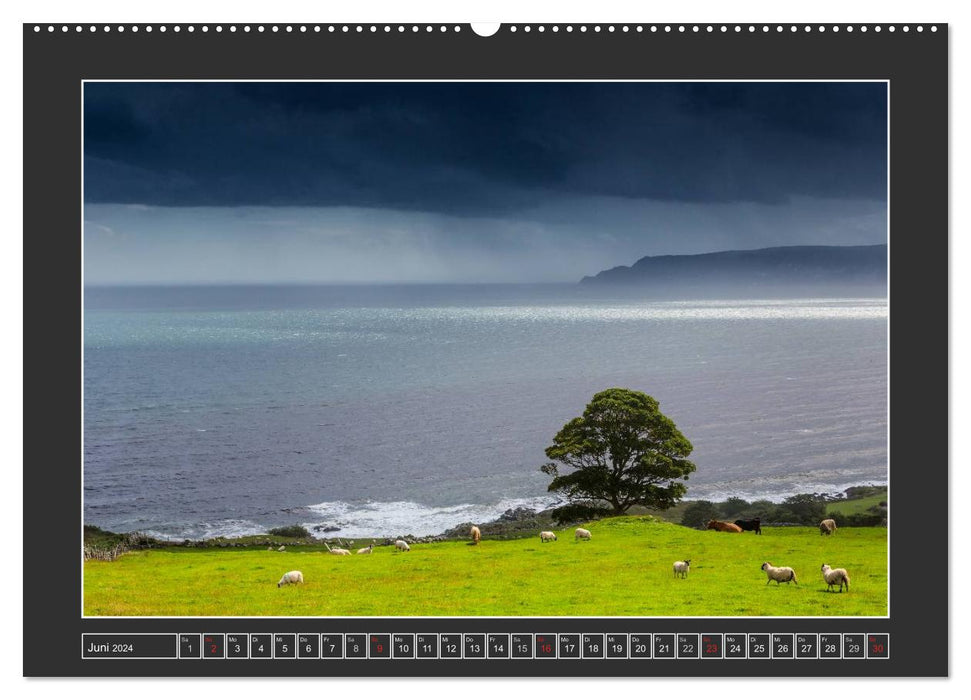 IRELAND - Island of the Happy Sheep (CALVENDO Wall Calendar 2024) 