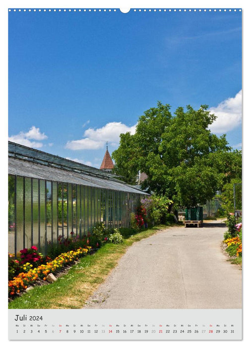 Île de Reichenau – Île aux légumes dans le lac de Constance (Calendrier mural CALVENDO Premium 2024) 