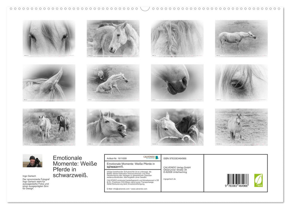Moments d'émotion : Chevaux blancs en noir et blanc. (Calendrier mural CALVENDO Premium 2024) 