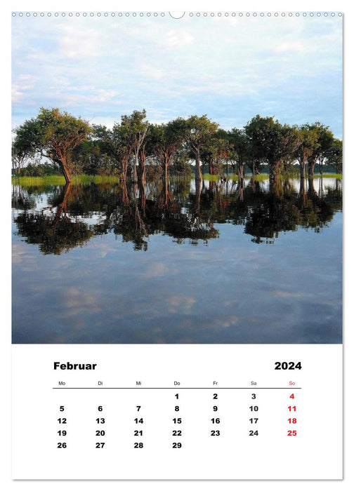 Brésil - Amazonie à Iguaçu (Calendrier mural CALVENDO 2024) 