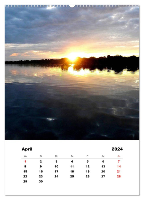 Brasilien - Amazonien bis Iguaçu (CALVENDO Wandkalender 2024)