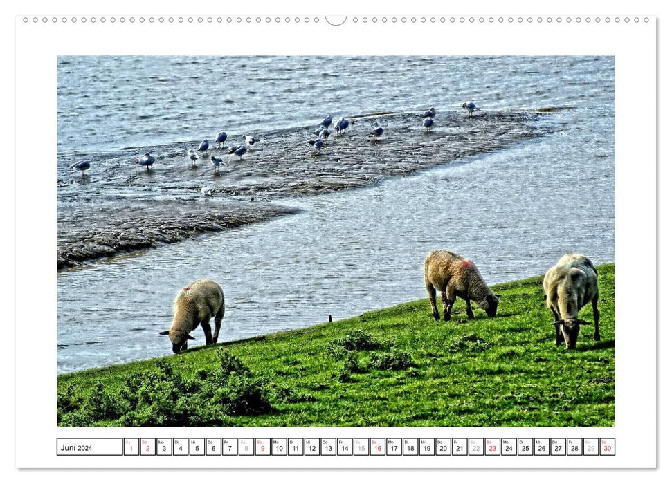 Ostfriesland HDR-Impressionen 2024 (CALVENDO Premium Wandkalender 2024)