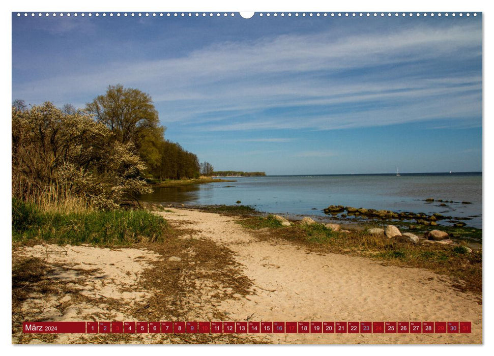Beautiful Wismar Bay (CALVENDO wall calendar 2024) 