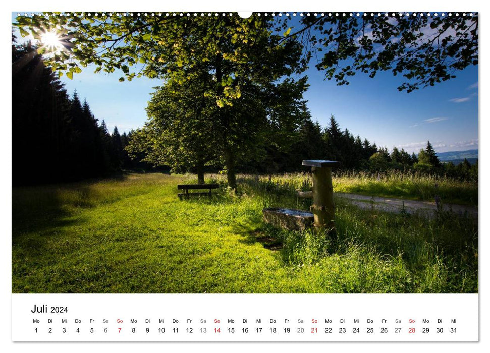 Impressions Passauer Land, forêt bavaroise, Borderland (calendrier mural CALVENDO Premium 2024) 