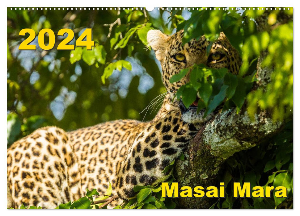 Masai Mara 2024 (CALVENDO Wandkalender 2024)
