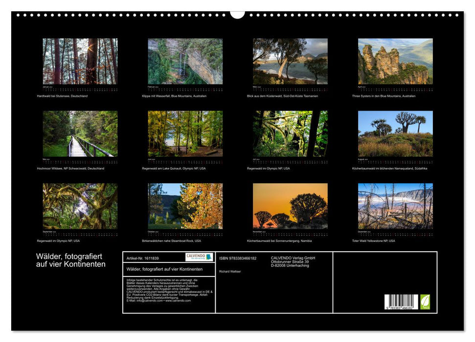 Wälder, fotografiert auf vier Kontinenten (CALVENDO Wandkalender 2024)