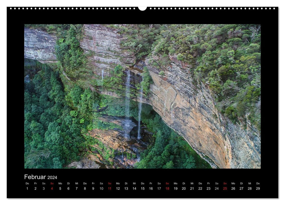 Forests, photographed on four continents (CALVENDO wall calendar 2024) 