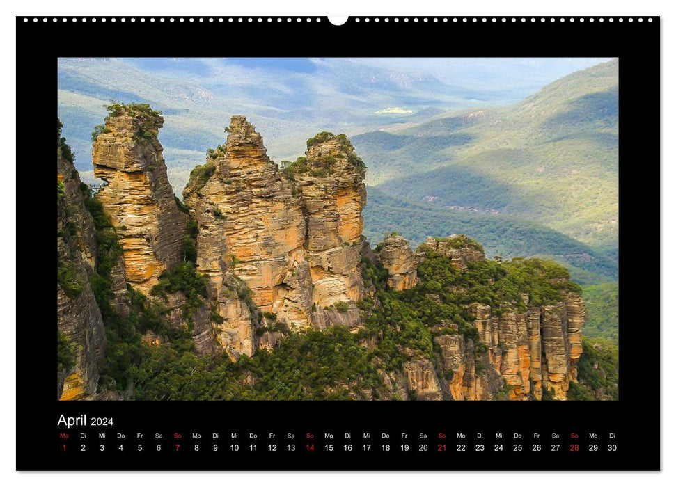 Forests, photographed on four continents (CALVENDO wall calendar 2024) 