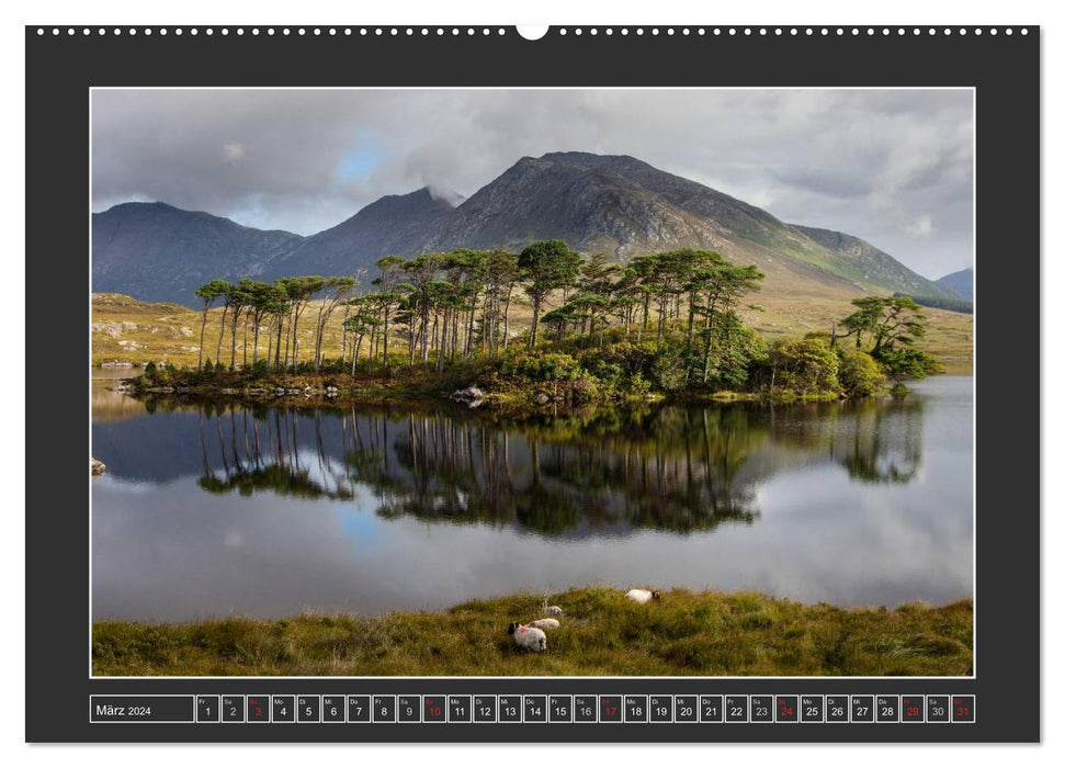 IRELAND - Island of the Happy Sheep (CALVENDO Premium Wall Calendar 2024) 