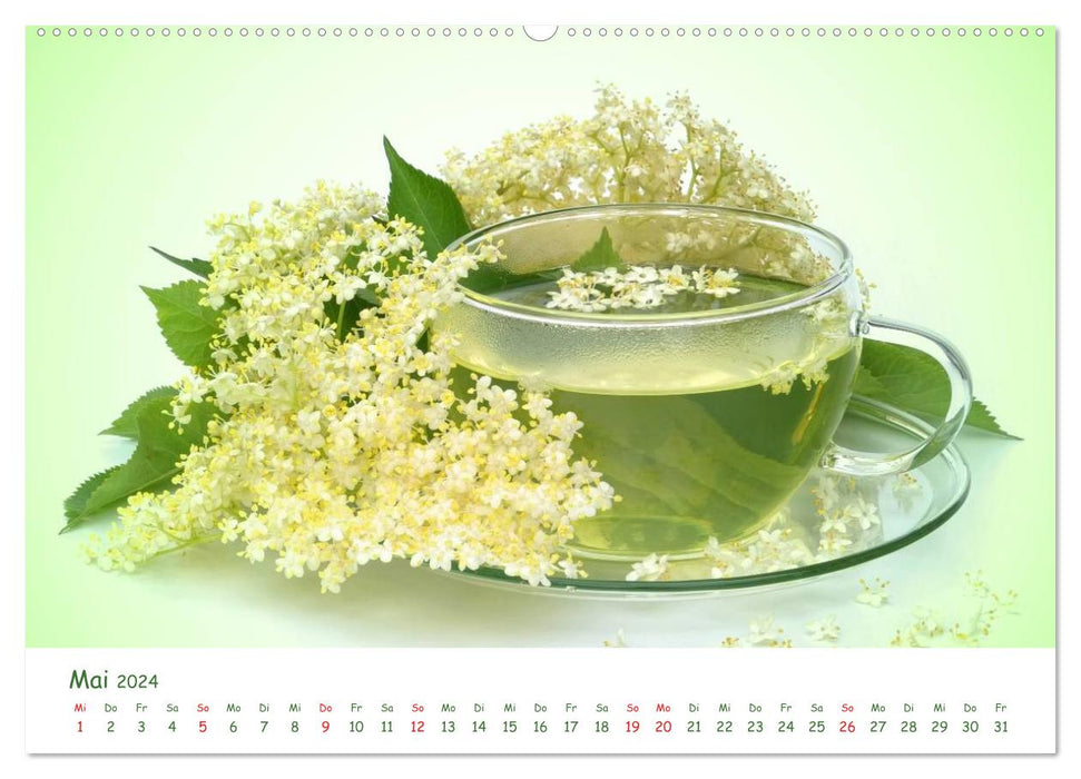 Medicinal plants (CALVENDO wall calendar 2024) 
