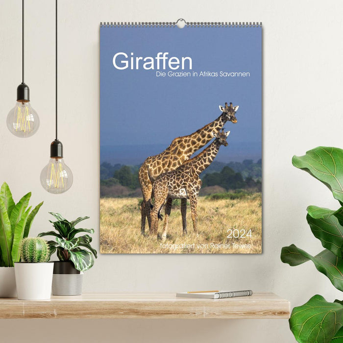 Girafes - Les grâces des savanes africaines (Calendrier mural CALVENDO 2024) 