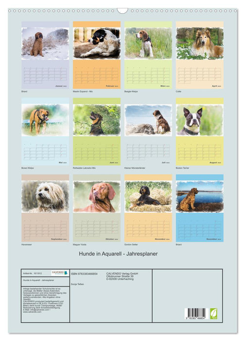 Hunde in Aquarell - Jahresplaner (CALVENDO Wandkalender 2024)