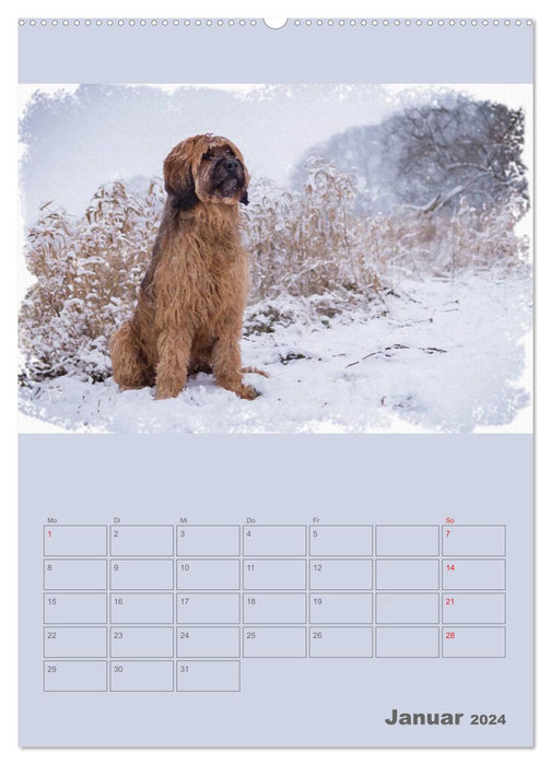 Hunde in Aquarell - Jahresplaner (CALVENDO Wandkalender 2024)