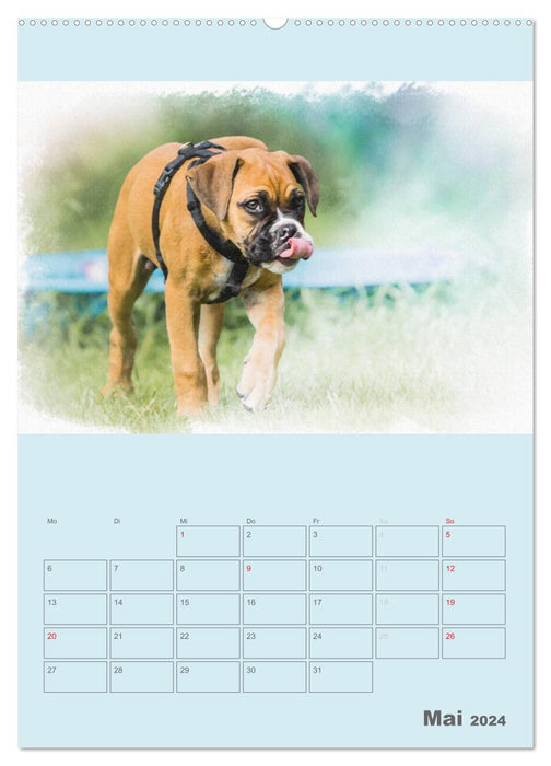 Hunde in Aquarell - Jahresplaner (CALVENDO Wandkalender 2024)