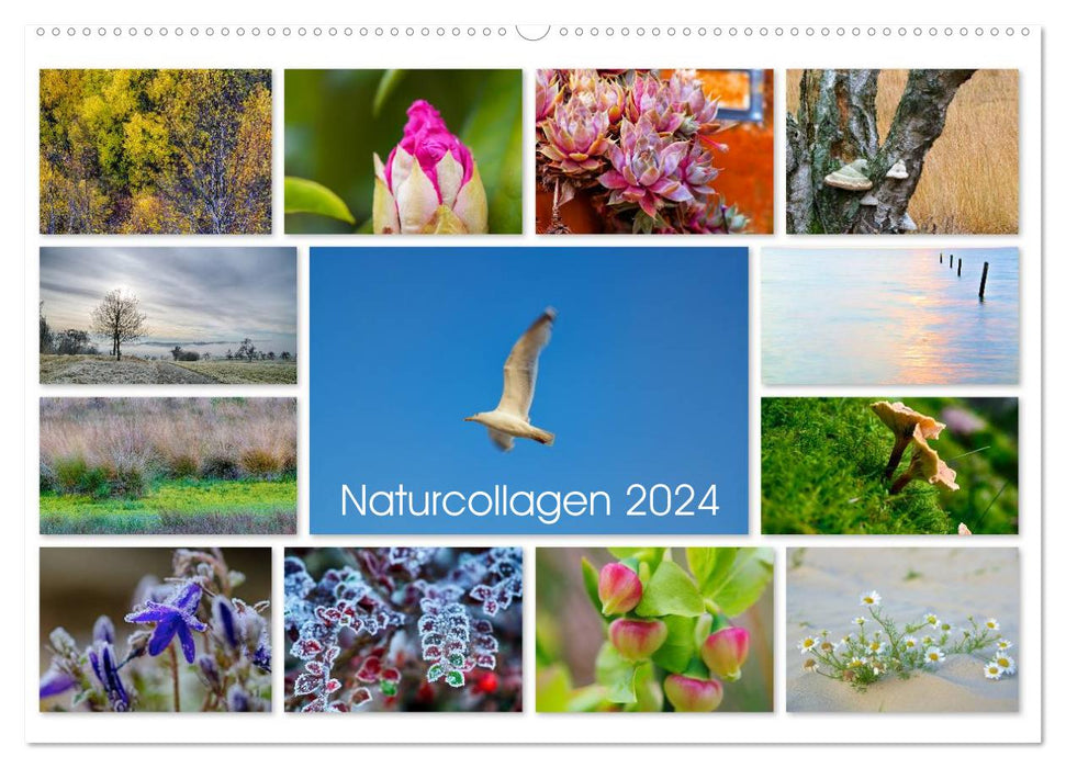 Naturcollagen 2024 (CALVENDO Wandkalender 2024)