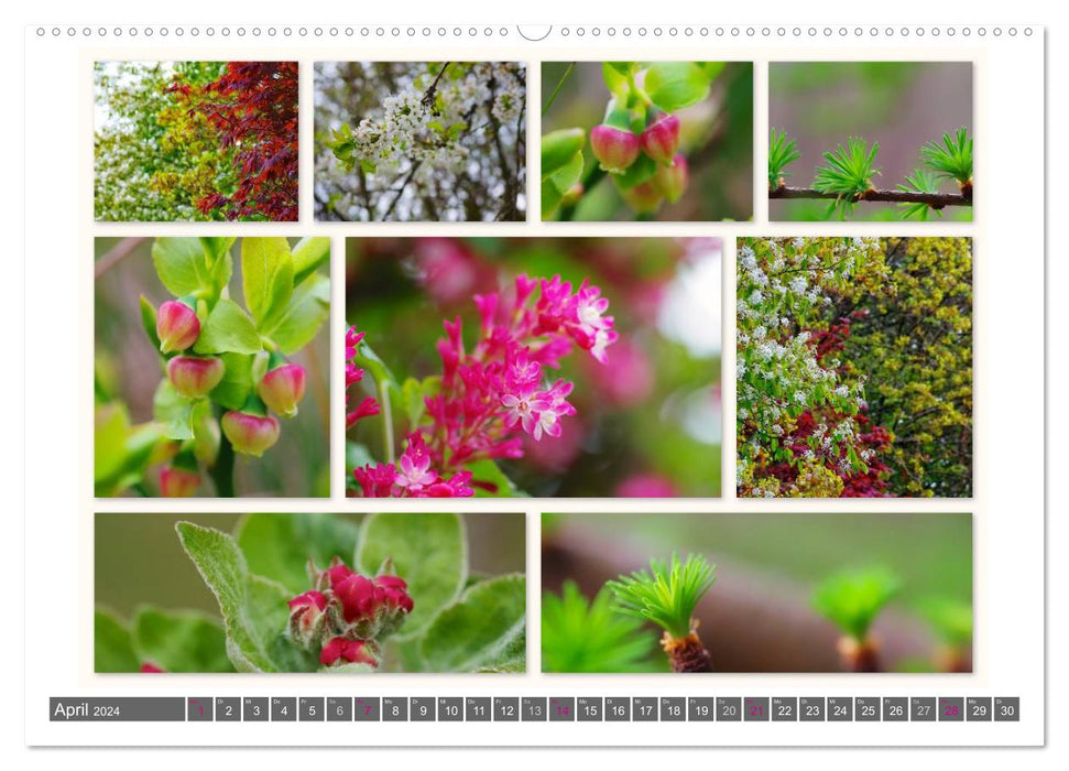 Nature collages 2024 (CALVENDO wall calendar 2024) 