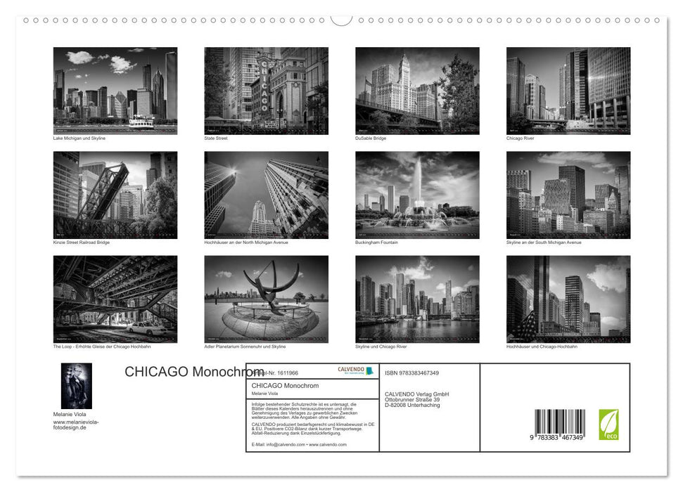 CHICAGO Monochrome (CALVENDO Premium Wall Calendar 2024) 