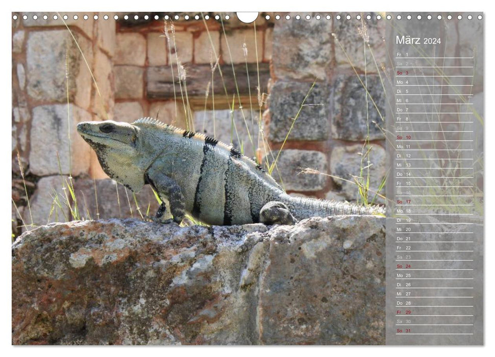 A journey through Yucatan (CALVENDO wall calendar 2024) 