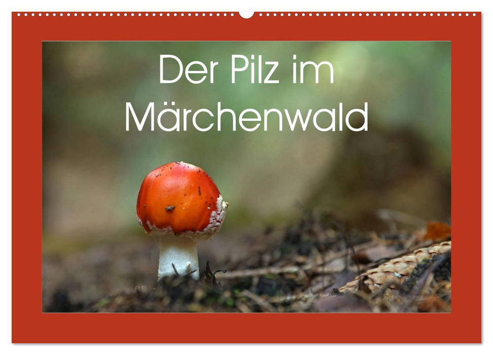Der Pilz im Märchenwald (CALVENDO Wandkalender 2024)