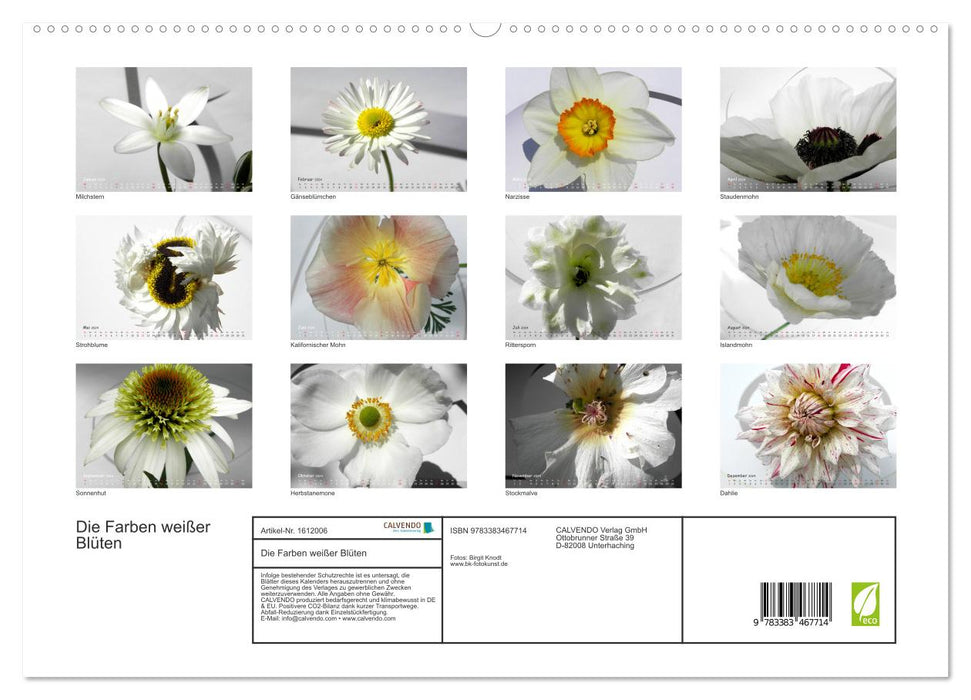 Die Farben weißer Blüten (CALVENDO Premium Wandkalender 2024)