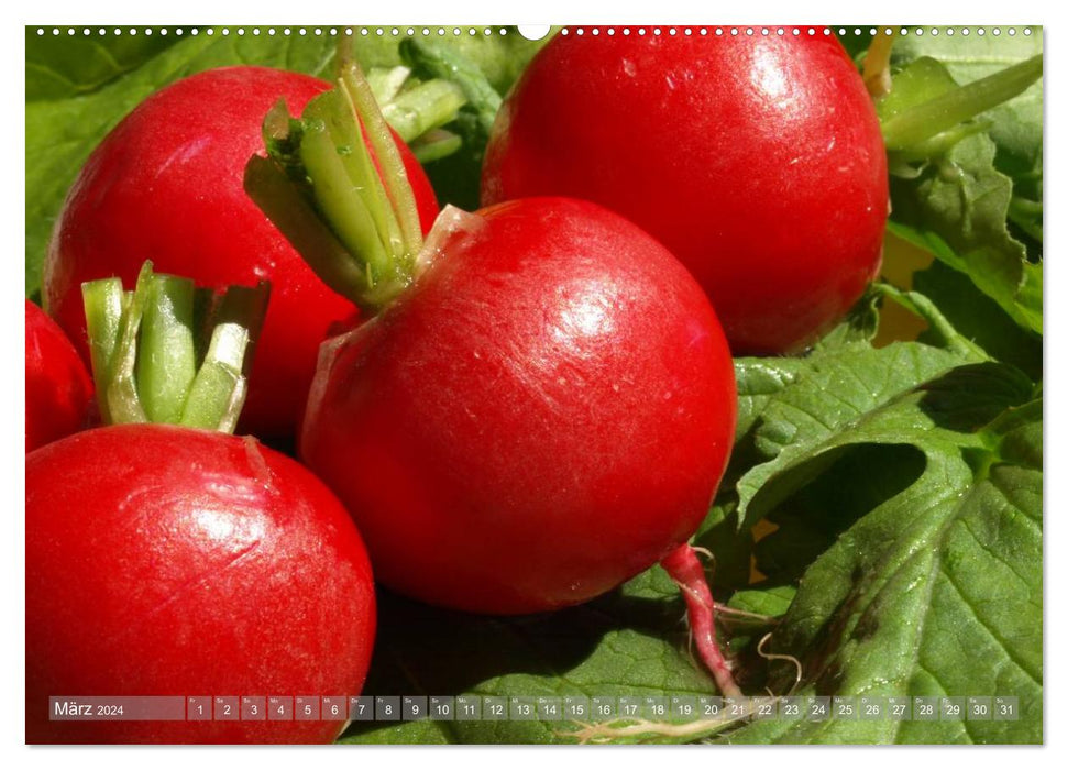 Fruit, vegetables &amp; co - macro photography in the kitchen (CALVENDO wall calendar 2024) 