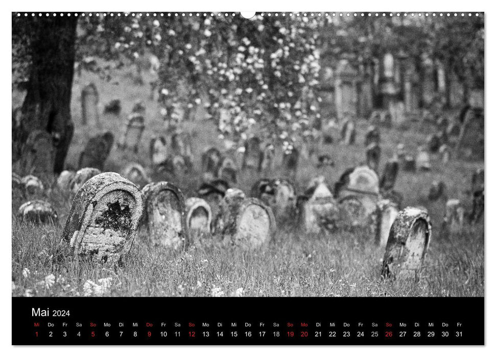 Jewish Gravyards / Jewish Cemeteries (CALVENDO Premium Wall Calendar 2024) 