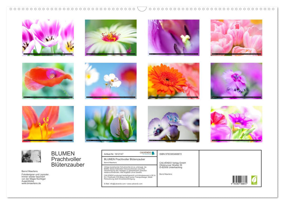 FLOWERS Magnificent floral magic (CALVENDO wall calendar 2024) 