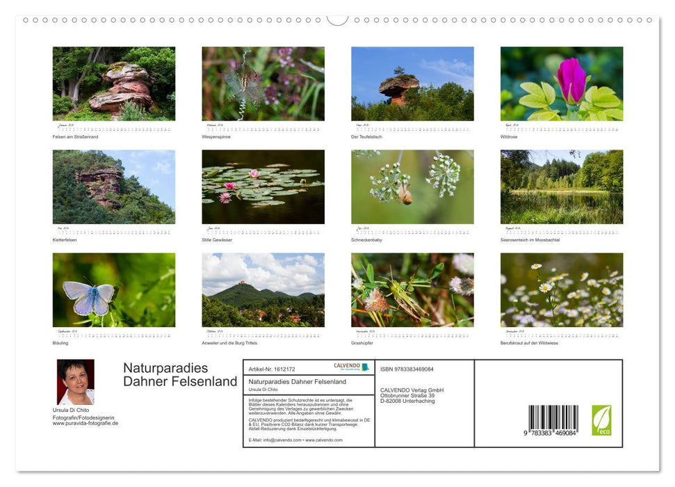 Natural paradise Dahner Felsenland (CALVENDO Premium Wall Calendar 2024) 