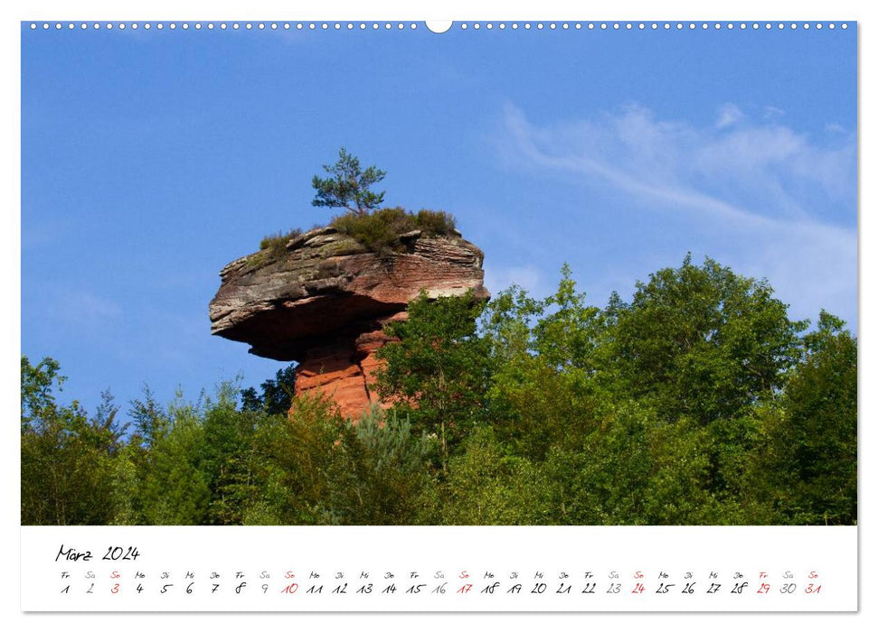 Naturparadies Dahner Felsenland (CALVENDO Premium Wandkalender 2024)
