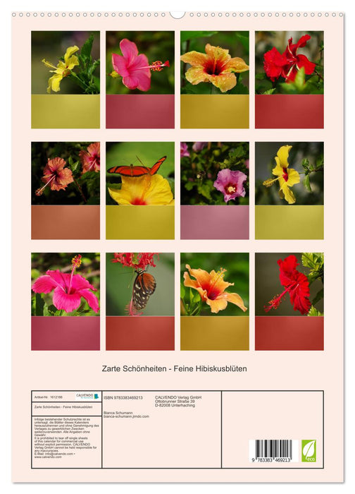 Delicate beauties - fine hibiscus flowers (CALVENDO Premium Wall Calendar 2024) 