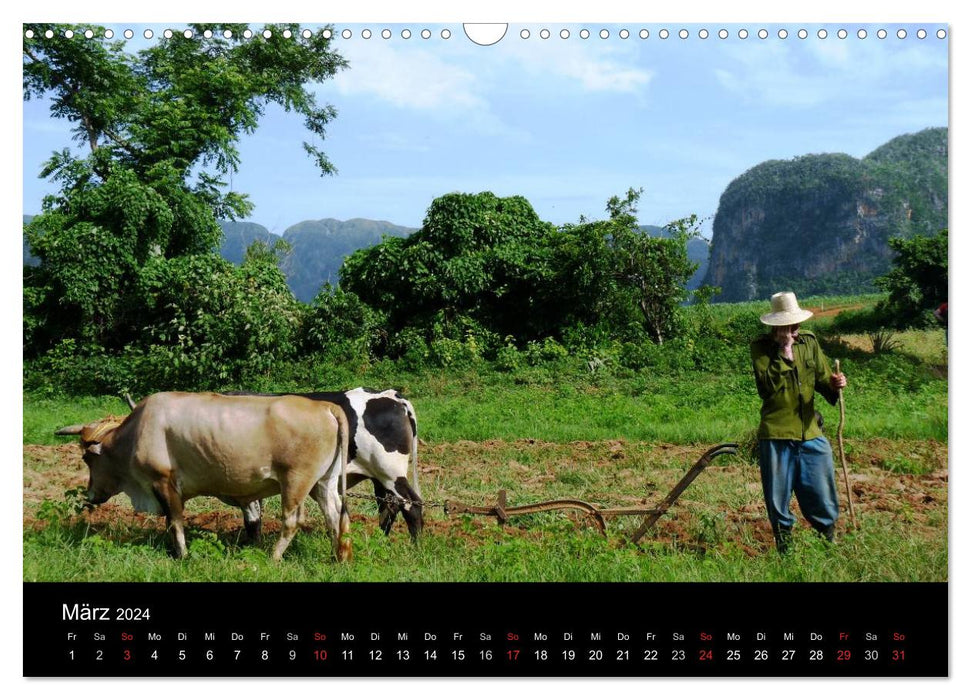 CUBA - time standing still (CALVENDO wall calendar 2024) 