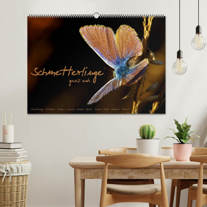 Papillons de près (Calendrier mural CALVENDO 2024) 