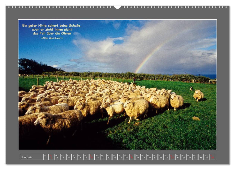 Natural wonders of New Zealand - in pictures and text (CALVENDO wall calendar 2024) 