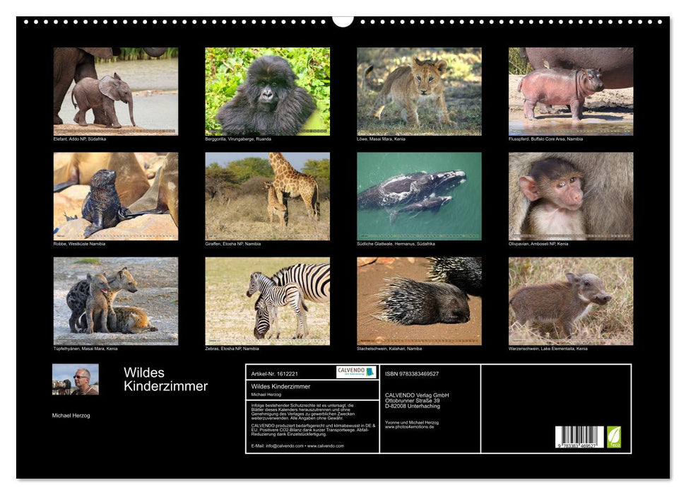 Wild children's room - animal children in Africa (CALVENDO wall calendar 2024) 