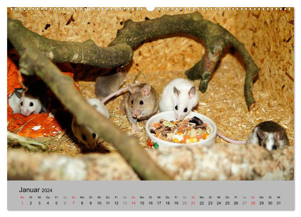 Mouse Gang (CALVENDO Premium Wall Calendar 2024) 