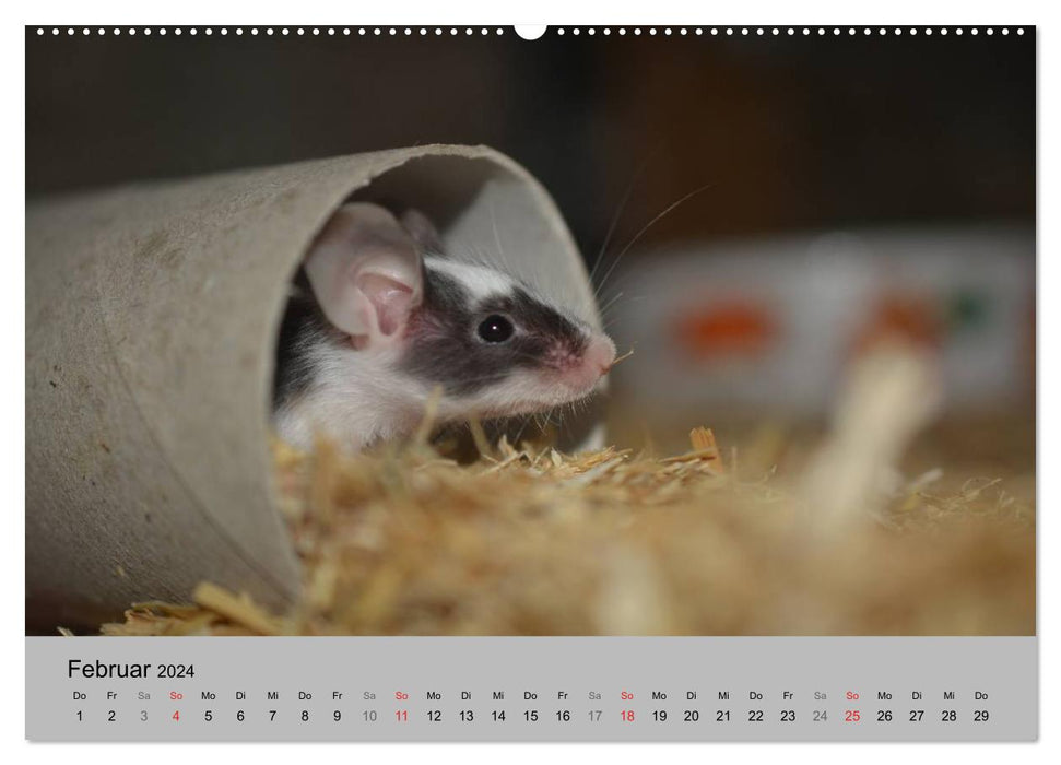 Mouse Gang (CALVENDO Premium Wall Calendar 2024) 